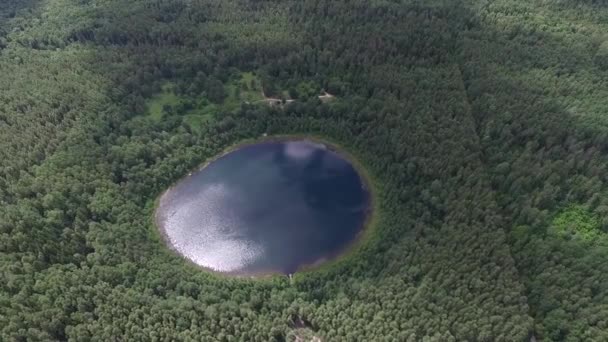 Τέλεια Στρογγυλή Λίμνη Στο Δάσος Θέα Στο Τοπίο Εναέρια Θέα — Αρχείο Βίντεο