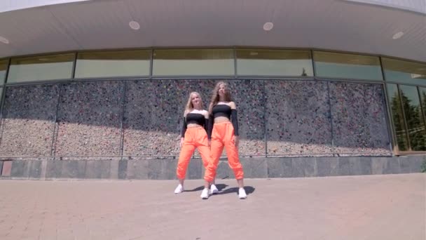 Duo Deux Jeunes Femmes Exécutant Danse Contemporaine Dancehall Twerk Face — Video