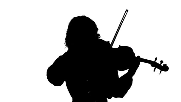 Μαύρη Σιλουέτα Λευκό Φόντο Κοντινό Πλάνο Μιας Νεαρής Βιολιστής Που — Αρχείο Βίντεο