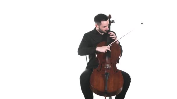 Violoncelista Talentoso Uma Camisa Preta Toca Violoncelo Clássico Técnica Pizzicato — Vídeo de Stock