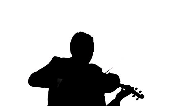 Giovane Violinista Maschile Suona Violino Classico Silhouette Nera Sfondo Bianco — Video Stock