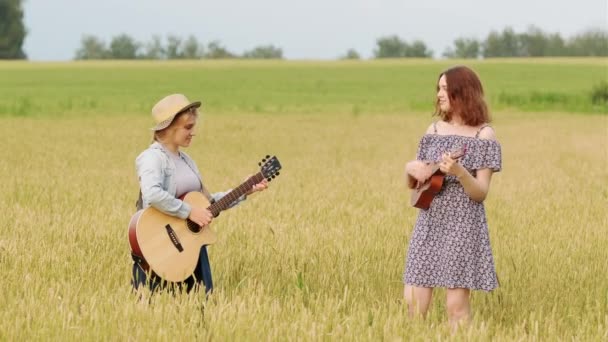 二重唱两个可爱的女孩在吉它和Ukulele上演奏乡村音乐 夏夜日落时分的麦田 — 图库视频影像