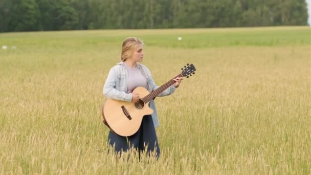 Piękna Młoda Kobieta Śpiewa Gra Gitarze Polu Pszenicy Zachodzie Słońca — Wideo stockowe