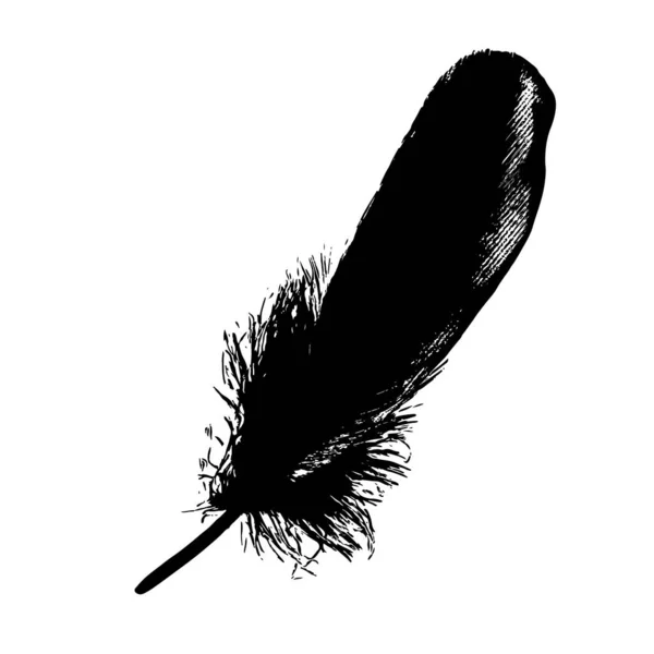 Feather Black Ink Graphic Boho Drawn Illustration Vector — ストックベクタ