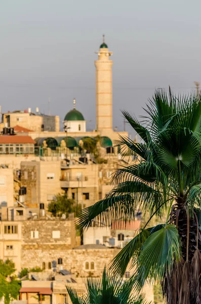 通过以色列耶路撒冷南部台阶戴维森中心的棕榈树看到东耶路撒冷的尖塔和阿拉伯家园 — 图库照片