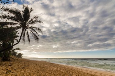 Günbatımı Sunset Beach Kuzey Shore Oahu, Hawaii palmiye ağaçları ve kumlu plaj üzerinde haddeleme sörf ile üzerinde