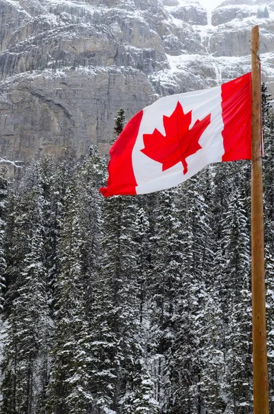 Bandera Canadiense Ondeando Sobre Las Montañas Del Parque Nacional Banff — Foto de Stock