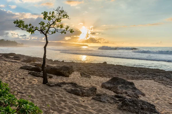 Умбри Три Роки Пойнт Северном Побережье Оаху Гавайи Закате Высоким — стоковое фото