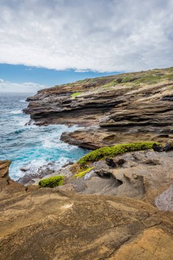 Oahu, Hawaii'deki Lanai Lookout'un eşsiz lav kaya formasyonlarına çarpan okyanus dalgaları