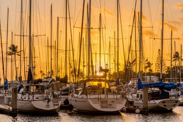 Yachts Sunset Ala Wai Small Boat Harbor Honolulu Hawaii — Stock Photo, Image