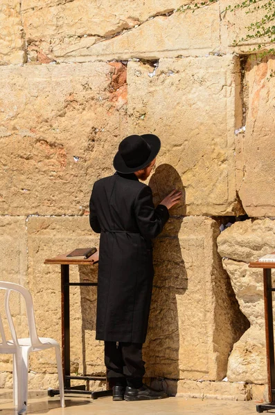 以色列耶路撒冷 2014年7月11日 东正教犹太男子在以色列耶路撒冷西墙祈祷 — 图库照片