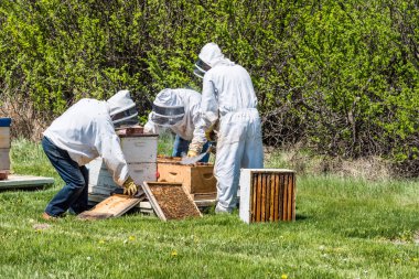 Tanınmayan arıcı sigara kuluçka tepsileri arı kovanı süper