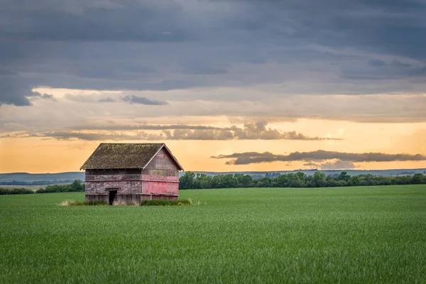 Celeiro Vermelho Vintage Com Buracos Bala Campo Trigo Pôr Sol — Fotografia de Stock