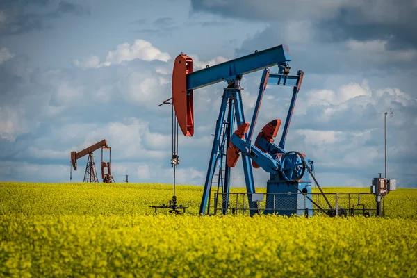 Två Pumpjack Ett Raps Fält Blom Saskatchewan Kanada — Stockfoto