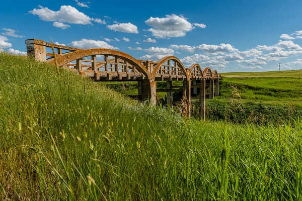 Velha Ponte Concreto Coberta Líquen Scotsguard Com Grama Verde Primeiro — Fotografia de Stock