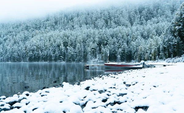 Bir Dağ Gölünde Karla Kaplı Bir Ormanın Dağların Arka Planında — Stok fotoğraf