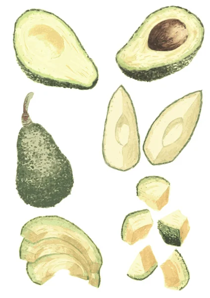 Avocado Aquarel Collectie Schilderkunst Witte Achtergrond Geïsoleerde Illustratie Voor Biologisch — Stockvector