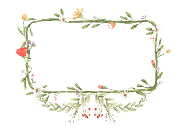 Watercolor frame of flowers, vine, leaf. Botanic ornament concept. Painting on white background. Isolated illustration for your unique decoration with greeting card, valentine card, wedding card.
