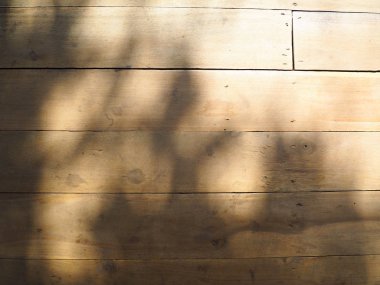 Kahverengi ahşap doku. Gerçek doğal ahşap doku.