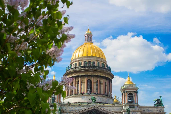 Catedral São Isaac Isaakievskiy Sobor Nas Flores Lilás Macieiras — Fotografia de Stock