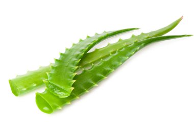 Aloe Vera beyaz bir arka planda izole edildi