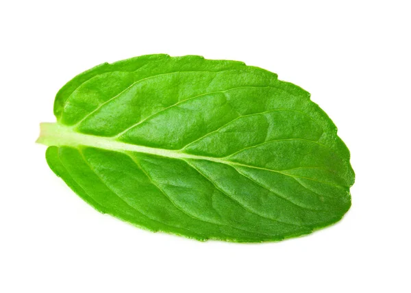 Fresh Mint Leaves Isolated White Background — Stock Photo, Image