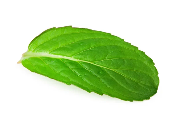 Fresh Mint Leaves Isolated White Background — Stock Photo, Image