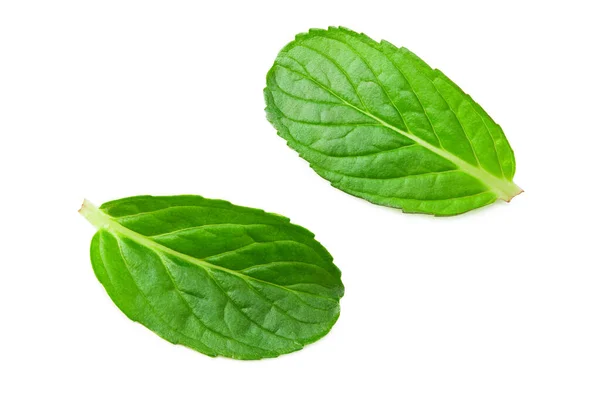 Fresh Mint Leaves Isolated White Background Top View — Stock Photo, Image