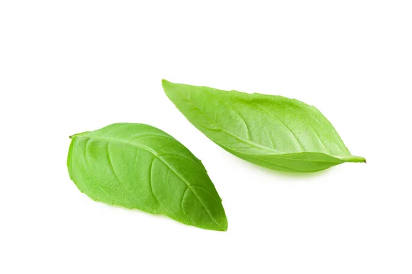 Basil Leaf Isolated White Background — Stock Photo, Image