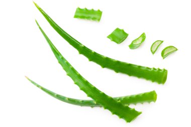 Dilimleri beyaz arka planda izole edilmiş Aloe Vera. Üst görünüm.