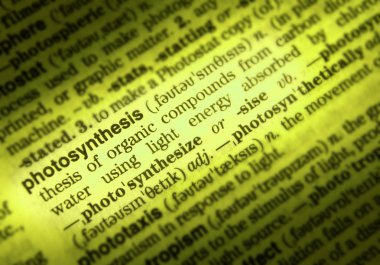 Word fotosentez tanımını gösteren sözlük sayfası kapat