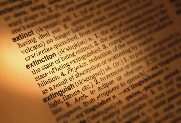 Close Dictionary Page Showing Definition Word Extinction — Stock Photo, Image
