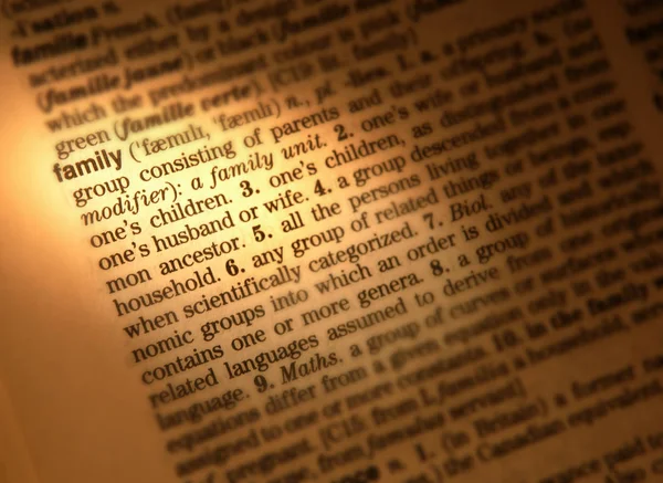 Close Dictionary Page Showing Definition Word Family — Stock Photo, Image