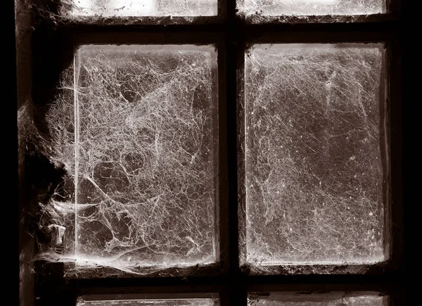 Cobwebs Covering Window Derelict Textile Mill Yorkshire England — Stock Photo, Image