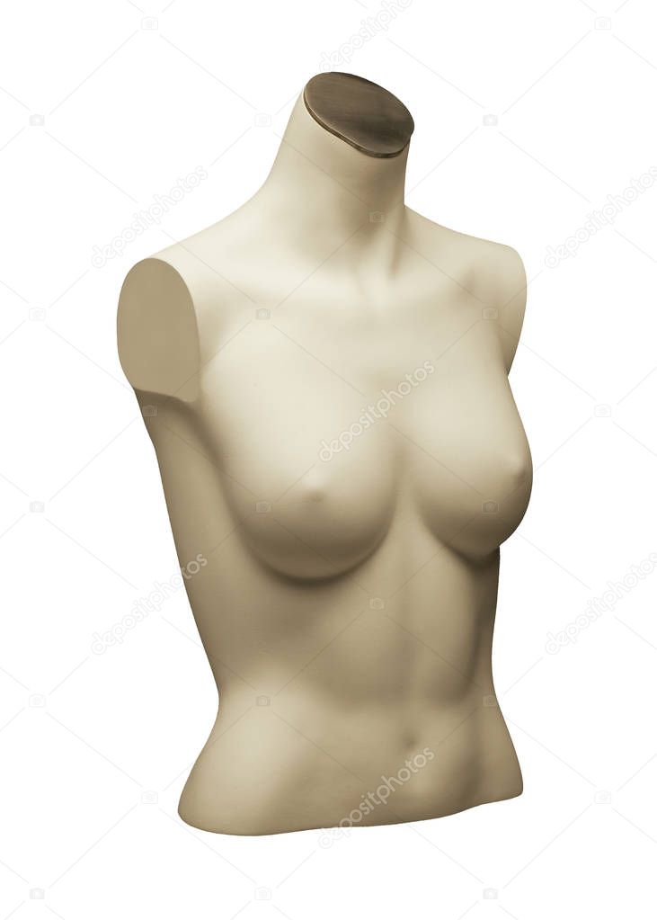 MANNEQUIN OF FEMALE TORSO ON WHITE BACKGROUND