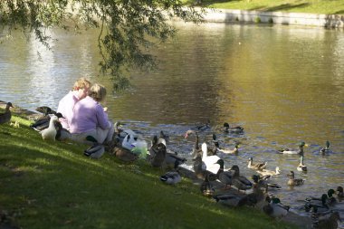 Çift Cambridge River Cam kıyısında ördekler besleme
