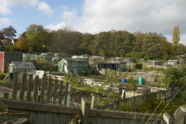 SCHEDE DA GIARDINO SUGLI IMPOSTI — Foto Stock