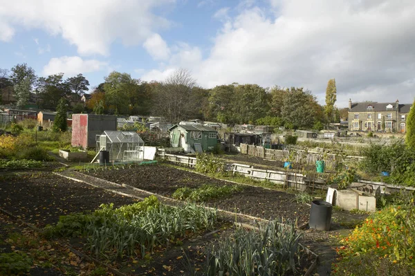 GARDEN SHEDS ON ALLOTMENTS