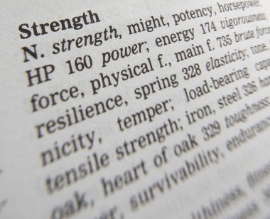 Sözcük Gücü Tanımını Gösteren Eş anlamlılar sözlüğü Sayfası