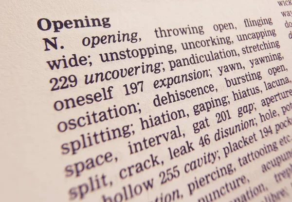 Stránka thesauras zobrazující definice otevření aplikace Word — Stock fotografie