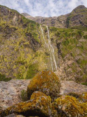 Büyülü Orman - Queulat Milli Parkı - Carretera Austral Şili, Patagonya