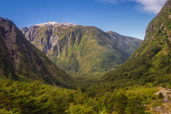 Förtrollade Skogen Queulat National Park Carretera Austral Chile Patagonia — Stockfoto