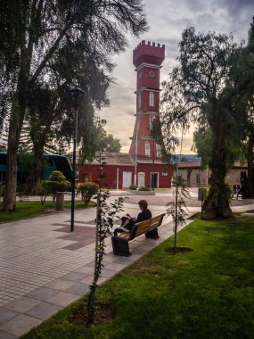 Ana kare, Vicuna, Belediye Binası Kulesi. Elqui Vadisi Şili, bir kadın bir brench okuma