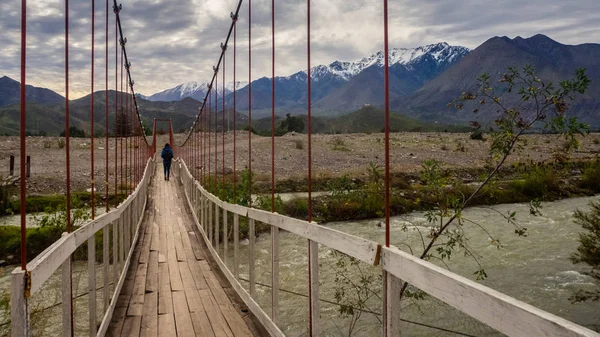 Ana kare, Vicuna, Belediye Binası Kulesi. Elqui Vadisi Şili, bir kadın bir brench okuma