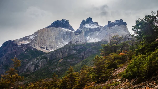 Los Cuernos Del Paine Dans Parc National Torres Del Paine — Photo