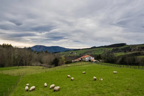 Bulutlu bir günde, Bask ülke, İspanya koyun otlatma ile tipik Bask çiftlik evi