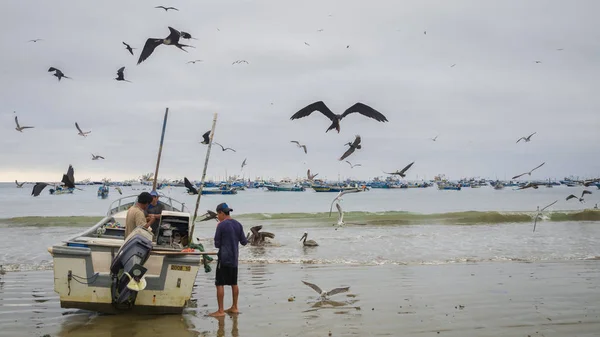 Aves Cerca Pescadores Playa Puerto López Ecuador Esperando Comida — Foto de Stock