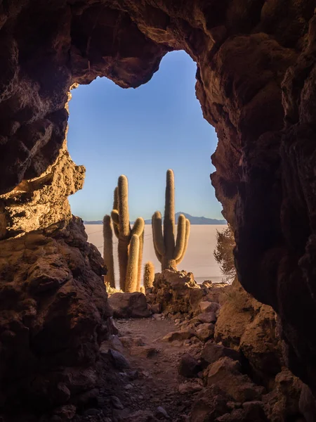 Wschód Słońca Sól Mieszkanie Uyuni Wewnątrz Jaskini Kaktusa Przodu Boliwia — Zdjęcie stockowe