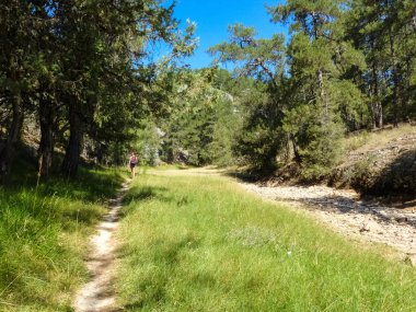 Yolu Lobos river canyon, Soria Nehri boyunca. Kuru dere. İspanya