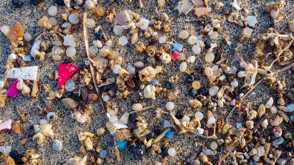Microplastics Lanzarote bir plaj kıyısında bulundu. Plastik, Kanarya Adaları Deniz kirliliği